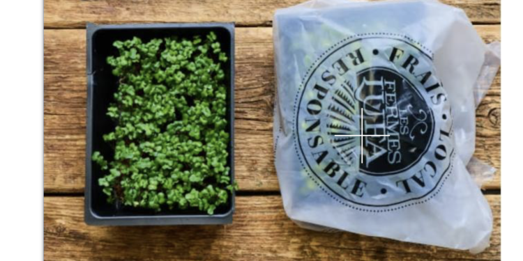 More microgreens recalled in Canada because of E. coli