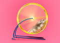 Hamsters run on wheels for a surprisingly joyful reason