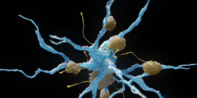 Study Questions Methods Used in Alzheimer’s Drug Analysis