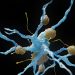 Study Questions Methods Used in Alzheimer’s Drug Analysis