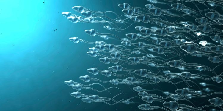 Hantavirus is One of Many Viruses That Can Live In Your Sperm