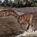 Toothless, Bipedal Crocodile Relative Lived in New Mexico 212 Million Years Ago