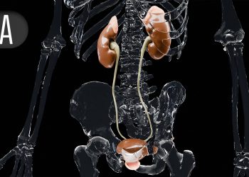 Tibial Nerve Stimulation for Overactive Bladder Tied to Better Quality of Life