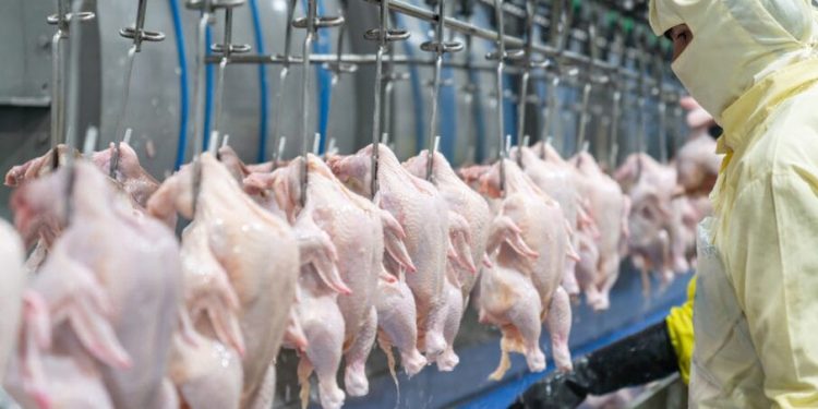 Lawmakers want USDA to maintain line speeds in poultry and pork plants, citing food safety