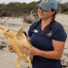 Rare hybrid sea turtle released back into the ocean after rescue