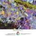 Painting the growing season in the Maize Triangle