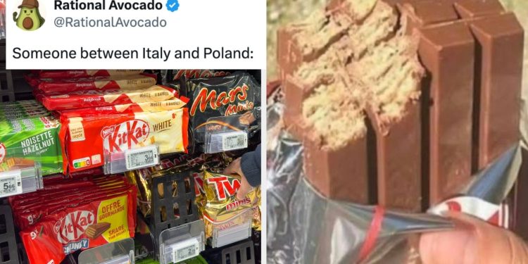 The 25 Funniest Memes About The 413,793 Stolen Kit Kats