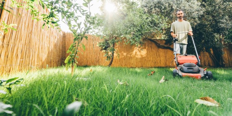 4 lawn options for people who hate mowing