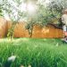 4 lawn options for people who hate mowing 
