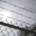 Study shows supervision and license conditions reduce reoffending among first-time prisoners