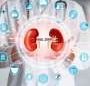 Clinical decision support system does not improve chronic kidney disease outcomes