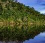 Illegal gold mining causes surges in malaria in the Amazon, and the association is far worse than suspected