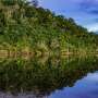 Illegal gold mining causes surges in malaria in the Amazon, and the association is far worse than suspected