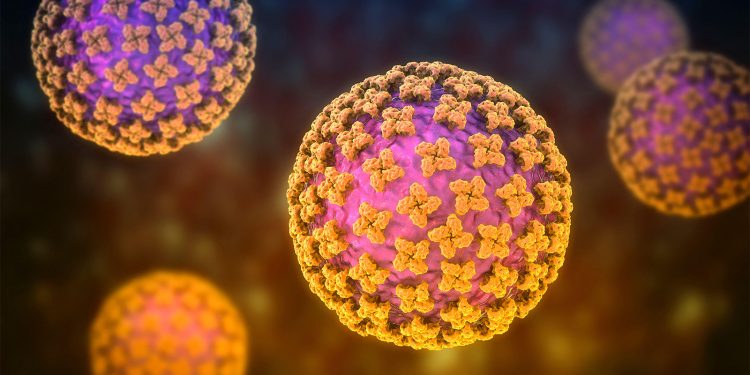More Americans Being Monitored for Hantavirus Than Previously Known