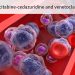 New AML Regimen for Unfit Patients Gets FDA’s Blessing