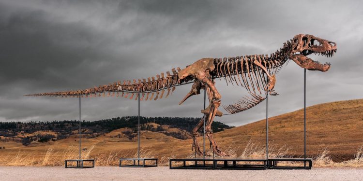 This T. rex could be yours for $30 million