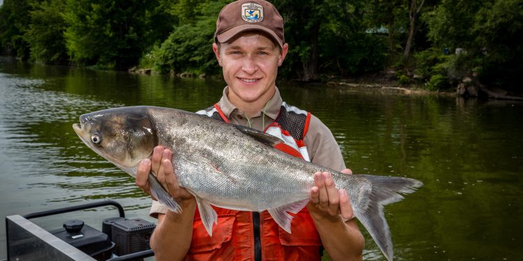 50 million pounds of invasive fish removed from Illinois River