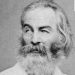 Quote of the day by Walt Whitman: ‘Keep your face always toward the sunshine, and shadows will fall behind you’