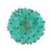 Successfully treated acute myeloid leukemia patients may hold the key to new CAR T cell therapy