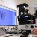 Experts Question Impact of Trump’s Latest Effort on Fertility Care Coverage