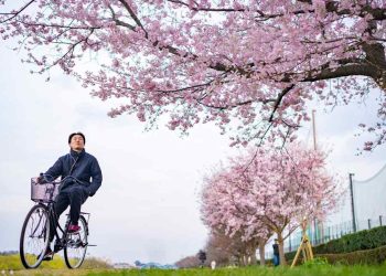Japan cracks down on its wayward cyclists