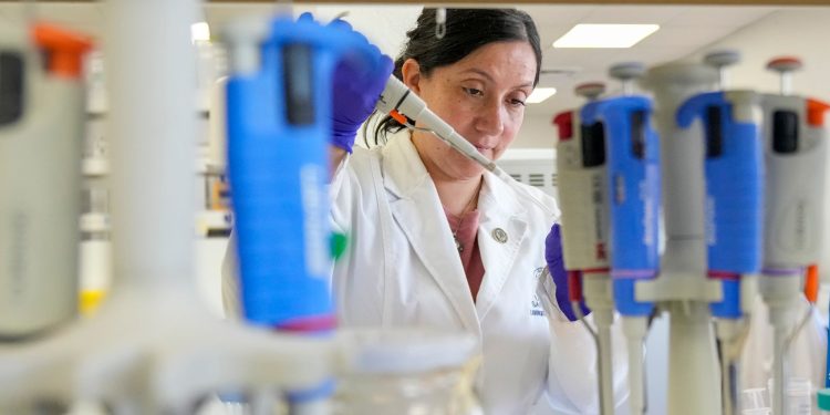 Tools to fight hantavirus show promise despite limited funding. Now researchers hope to continue