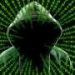 From introvert to hero: The ‘Hacker’ revealed
