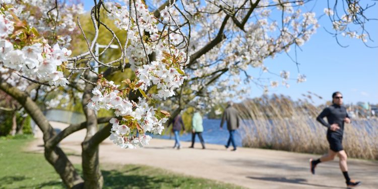 Your local park is bringing in the green (and by that, we mean money)