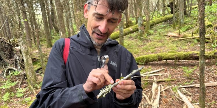 In the Smoky Mountains, a volunteer effort aims to document every species — before it’s too late