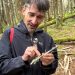 In the Smoky Mountains, a volunteer effort aims to document every species — before it’s too late