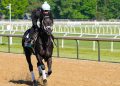 2026 Belmont Stakes odds, horses, time, predictions: Expert who called 4 of past 8 winners releases picks