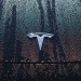 Why a Wall Street Analyst Warns Tesla Shares Could Drop 60 Percent