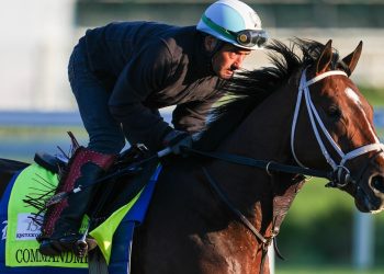 2026 Belmont Stakes predictions, odds, field, location, track, time: Picks from top horse racing expert