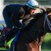 2026 Belmont Stakes predictions, odds, field, location, track, time: Picks from top horse racing expert