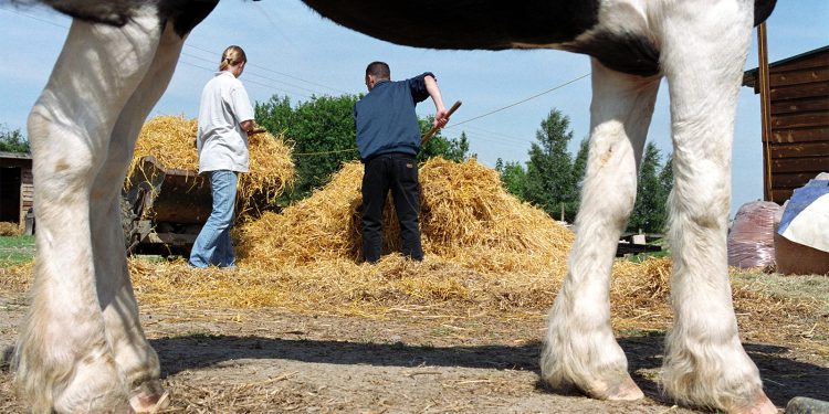 Harm Reduction Works. ‘Wellness Farms’ Won’t.