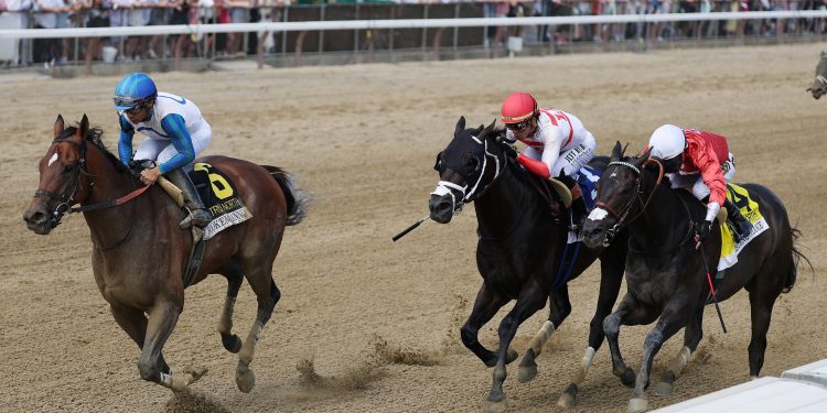 Belmont Stakes betting payouts for 2026: Payout for trifecta, superfecta and more