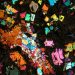 Kaleidoscopic meteorite could be a piece of a ‘lost world’ from the early solar system — Space photo of the week