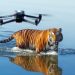 How to watch Tiger Island online from anywhere in the world — stream for free