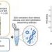 Ancient dental calculus uncovers regional and historical shifts in Japan’s oral microbiome
