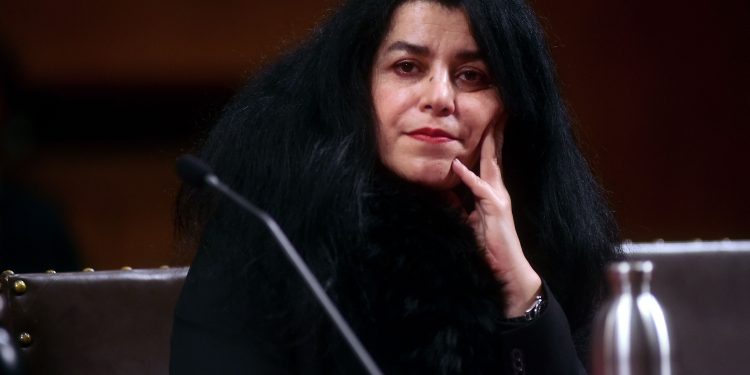 What Marjane Satrapi Made