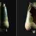 Odd-shaped vessel hints at alchemy in medieval German castle