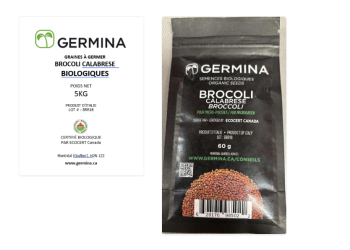 ‘Brocoli Calabrese’ seeds recalled because of E. coli