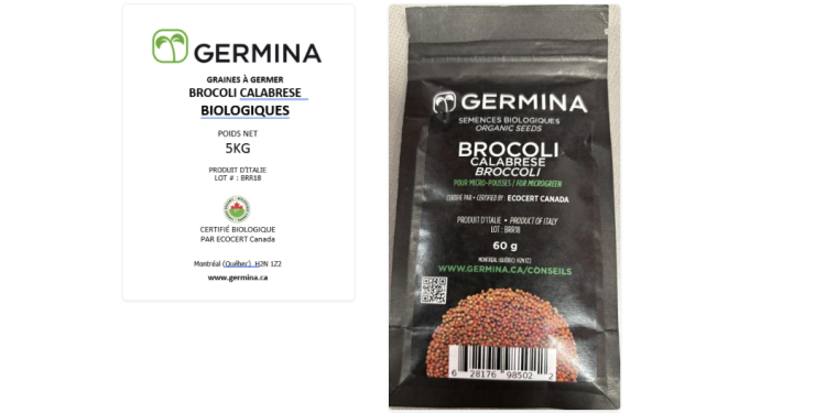 ‘Brocoli Calabrese’ seeds recalled because of E. coli