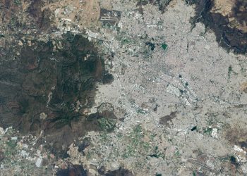 World Cup Fever in Guadalajara