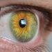 VEGF Inhibitor Implant Preserves Visual Acuity, Retinal Anatomy in Wet AMD
