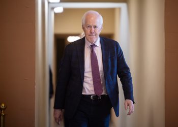 Cornyn tells Mike Lee to lay off John Thune