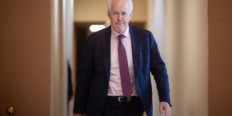 Cornyn tells Mike Lee to lay off John Thune