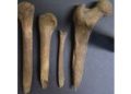 Scottish Burial Site Suggests an Iron Age Woman&rsquo;s Brain Was Removed and Bones Carved After Death