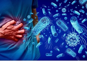 WHO estimates costs and benefits of foodborne disease surveillance investment
