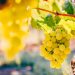 How Growing Up on a Grape Farm Prepared Me to Lead a Tech Company